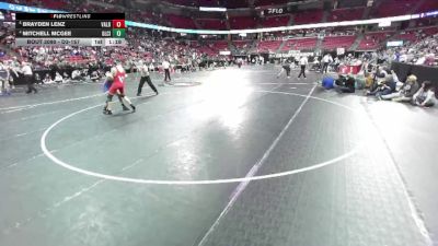 D3-157 lbs Quarterfinal - Mitchell McGee, Glenwood City vs Brayden Lenz, Valders