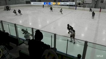 Replay: Home - 2024 Norman U18 AAA vs Bruins U18 AAA | Feb 2 @ 6 PM