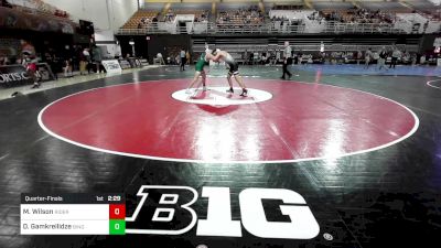 174 lbs Quarterfinal - Michael Wilson, Rider vs Dimitri Gamkreilidze, Binghamton