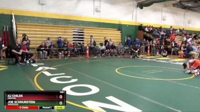 126 lbs Cons. Round 2 - AJ Childs, Mentor vs Joe Schnurstein, Anderson