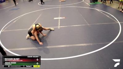 136 lbs Champ. Round 1 - Aidan Boex, Minnesota vs Richard Busby, Iron Youth Wrestling Club