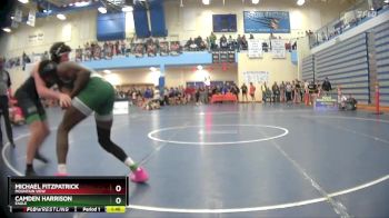 165 lbs Champ. Round 2 - Camden Harrison, Eagle vs Michael Fitzpatrick, Mountain View