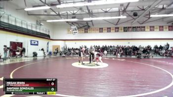 136 lbs Quarterfinal - Megan Irwin, Mt. San Antonio College vs Santana Gonzales, Palomar College