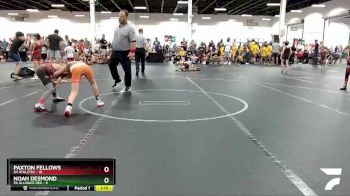 68 lbs Round 2 (4 Team) - Paxton Fellows, 84 Athletes vs Noah Desmond, PA Alliance Red