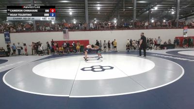 65 kg Champ. Rd Of 64 - Cameron Chinavare, Chippewa Wrestling Club vs Noah Tolentino, Beaver Dam Wrestling Regional Training Center
