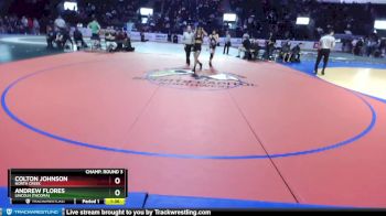 126 lbs Champ. Round 3 - Andrew Flores, Lincoln (Tacoma) vs Colton Johnson, North Creek