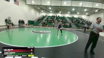 140 lbs Champ. Round 1 - Andie Gibson, Lander Valley vs Lily Miller, Wind River