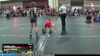 91 lbs Semifinal - Rivers Harbison, Ironclad vs Camden Hook, Contenders Wrestling Academy