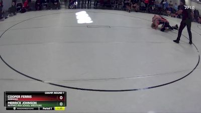 178 lbs Champ. Round 1 - Cooper Ferris, Nebraska vs Merrick Johnson, Beatrice High School Wrestling