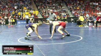 2A-138 lbs Cons. Semi - Cadyn Wild, Assumption, Davenport vs Ragen Hasche, Central Lyon/George-Little Rock