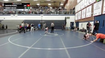 62 lbs Champ. Round 1 - Emmett McCoy, Hawk Wrestling Club vs Daxxyn Powell, 208 Badgers Wrestling Club