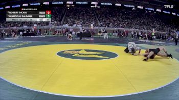 D4-138 lbs Cons. Round 1 - Diangelo Saldana, Iron Mountain vs Robert Dickie, Vassar
