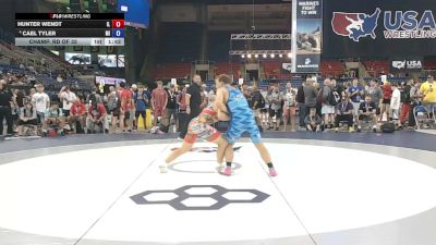 175 lbs Champ. Rd Of 32 - Hunter Wendt, Illinois vs Cael Tyler, Michigan