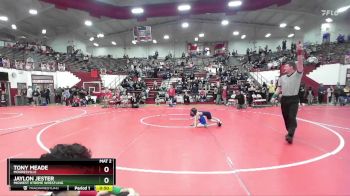 45 lbs Quarterfinal - Tony Meade, Mooresville vs Jaylon Jester, Midwest Xtreme Wrestling