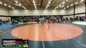 113 lbs Quarterfinal - Logan Steinmetz, Lockwood (Billings) vs William Manning, Huntley Project