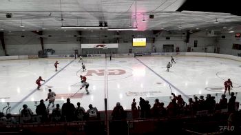 Replay: Home - 2025 Bears U18 AAA (G) vs ND Hounds U18 (G) | Jan 11 @ 11 AM