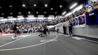 55 lbs Consi Of 4 - Lincoln Steiner, Mustang Bronco Wrestling Club vs Bentley Hausam, Tecumseh Youth Wrestling