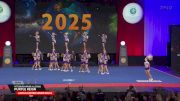 Pittsburgh Pride All Stars - Purple Reign [2025 L6 Limited Senior Small Semis] 2025 The Cheerleading Worlds