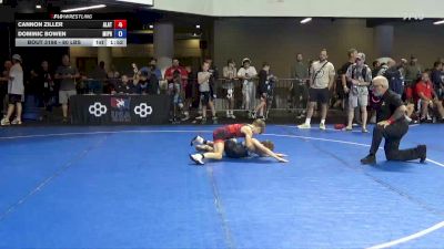 80 lbs Cons. Sub-quarters - Cannon Ziller, Alber Athletics vs Dominic Bowen, Michigan Premier