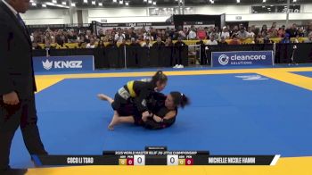 Michelle Nicole Hamm vs Coco Li Tsao 2025 World Master IBJJF Jiu-Jitsu Championship