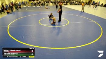 70 lbs Quarterfinal - Wyatt Chmielewski, Waconia vs Anthony Nytes, LeSueur/Henderson