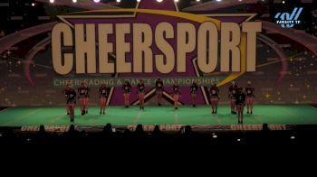 Douglasville Cheer Stars - Senior Shadow [2024 L3 Senior - D2 - Small - A Day 1] 2024 CHEERSPORT National All Star Cheerleading Championship