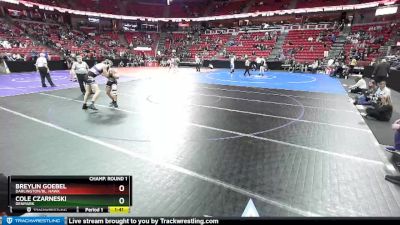 D2-152 lbs Champ. Round 1 - Breylin Goebel, Darlington/Bl. Hawk vs Cole Czarneski, Denmark