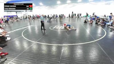 112 lbs Round 8 (10 Team) - Ethan Hauser, Savage Red vs Cole Desiano, GPS