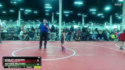 48 lbs Round 8 (10 Team) - Scarlett McKeown, Mat Assassins Blue vs Matthew Pellicano, Fair Lawn Cutters