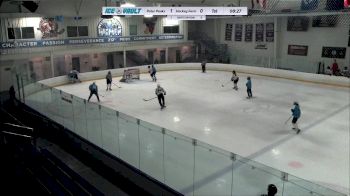 Replay: Home - 2024 Polar Peaks vs Hockey Farm Var. | Apr 5 @ 8 PM