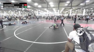 49 lbs Quarterfinal - Liam Rodriguez, Rising Sun WC vs Andres Judah Ornelas, Desert Dogs WC