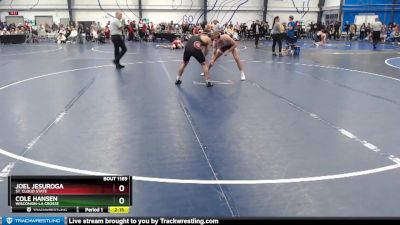 Elite 157 lbs Semifinal - Joel Jesuroga, St. Cloud State vs Cole Hansen, Wisconsin-La Crosse