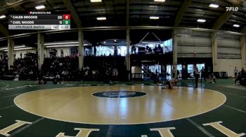 141 lbs 5th Place Match - Cael Woods, Tiffin vs Caleb Brooks, Glenville State