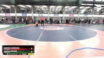 58-62 lbs Quarterfinal - Ashton Andersen, BIG GAME vs Briggs Whiting, Force Elite