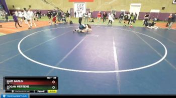 138 lbs Cons. Round 2 - Liam Gatlin, TX vs Logan Mertens, ND