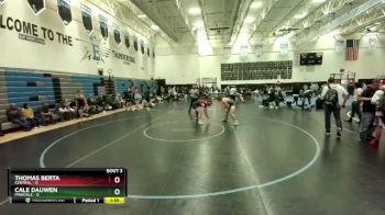 190 lbs Round 2 (4 Team) - Cale Dauwen, Pinedale vs Thomas Berta, Central