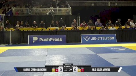 Julio Souza Arantes vs Gabriel Cardoso Amorim 2026 Pan Jiu Jitsu IBJJF Championship