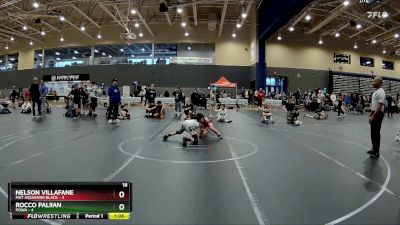 84 lbs Round 1 (8 Team) - Rocco Paliian, POWA vs Nelson Villafane, Mat Assassins Black