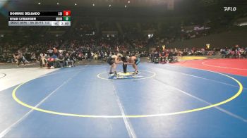 6A Boys 132 lbs Champ. Round 1 - Evan Lybarger, Mountainside Boys vs Dominic Delgado, South Salem Boys