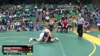 120 lbs Champ. Round 2 - Rocco Czarnecki, CUYAHOGA VALLEY CHRISTIAN ACADEMY vs Anthony Trentanelli, Perry (Perry)