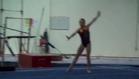 Lark Pokladnik FX Dance Thru