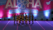 The Cheer Hive - BVAS [2024 L2 Senior - D2 11/17/24] 2024 Aloha Trenton Showdown