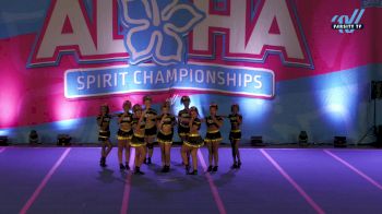 The Cheer Hive - BVAS [2024 L2 Senior - D2 11/17/24] 2024 Aloha Trenton Showdown