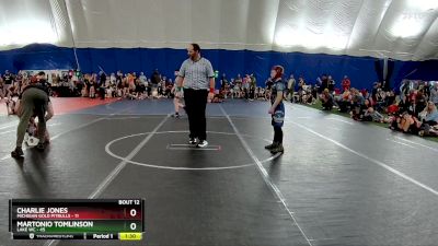 88 lbs Round 4 (6 Team) - Charlie Jones, Michigan Gold Pitbulls vs Martonio Tomlinson, Lake WC