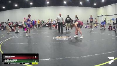 108 lbs Semis & 1st Wrestleback (8 Team) - Alex Allison, Palmetto Gold vs Aiden Hart, Dogtown