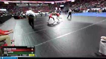 D2-220 lbs Semifinal - Koy Hopke, Amery vs De Evian Ross, New London