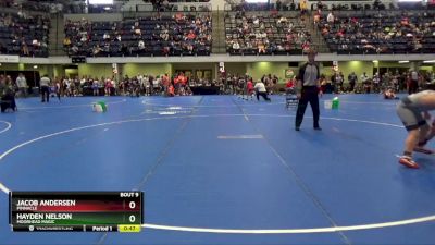 125 lbs Round 1 - Hayden Nelson, Moorhead Magic vs Jacob Andersen, Pinnacle