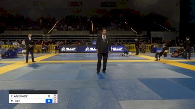 FERNANDO ANDRADE vs MAHAMED ALY 2019 Pan Jiu-Jitsu IBJJF Championship