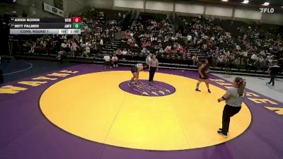 6A 235 lbs Quarterfinal - Vala Netane, Copper Hills vs Jayda Angulo, Layton