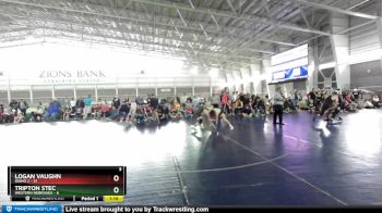 119 lbs Quarters & Wb (16 Team) - Logan Vaughn, Idaho 2 vs Tripton Stec, Western Nebraska